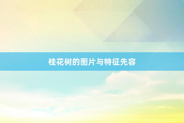 桂花树的图片与特征先容